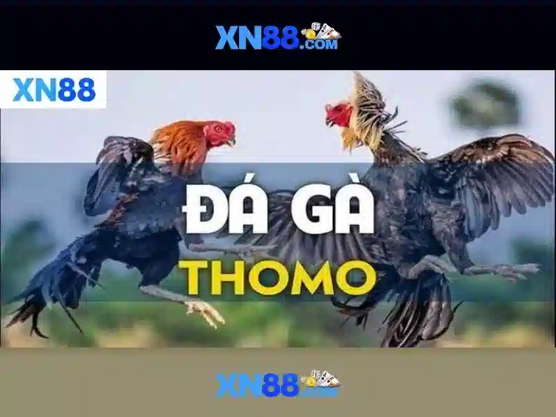 💎slots garden no deposit promo codes💎