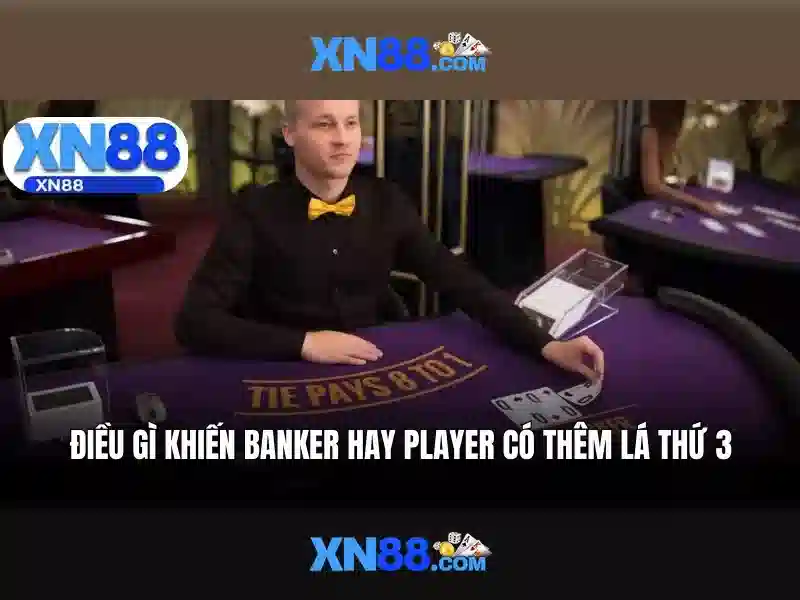 💎bk8 cá cược thể thao & casino💎