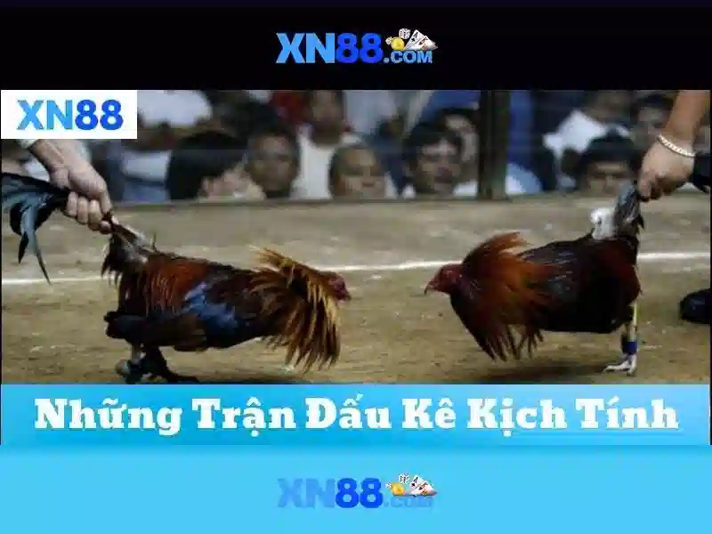 💎cá cược bóng đá uy tín enppi💎