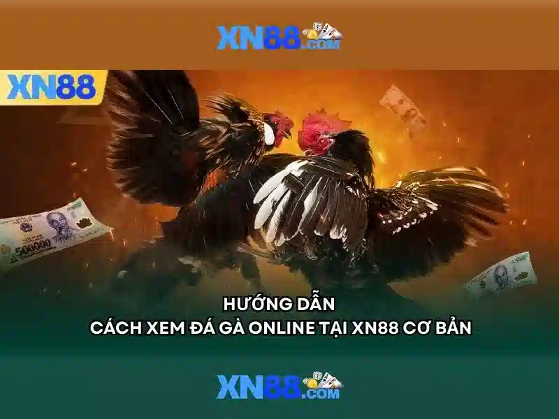 💎kk 888 slot casino💎