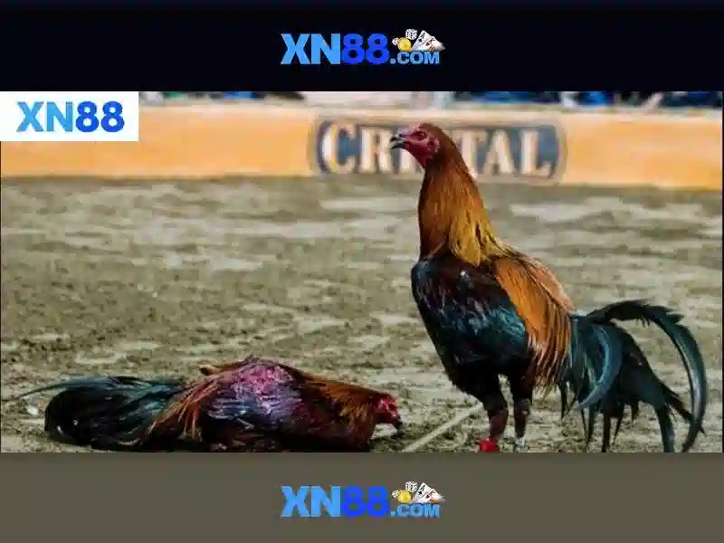 XN88 - Trải Nghiệm Slot Đỉnh Cao Với Tải XN88 Miễn Phí - XN88