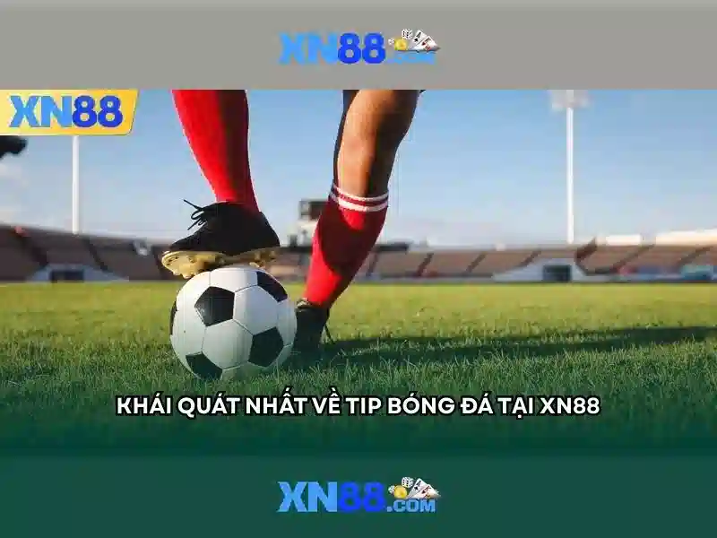 💎bong da truc tiêp keo nha cai💎
