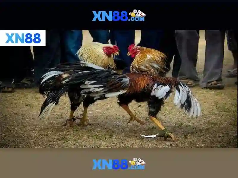 💎sin88 sin888 asia💎 - sin88 kim - sin88 vnorg