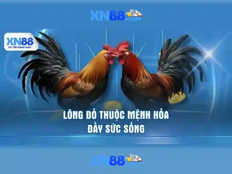 💎nhân đôi mã khuyến mãi sòng bạc💎