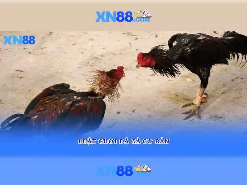 💎youtube4d slot💎