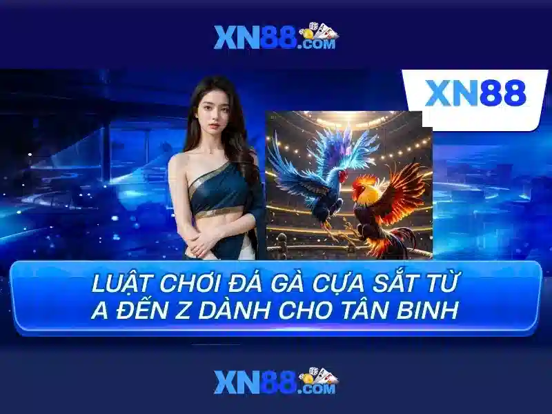 💎cai phan mem do hoa tai nha hcm💎