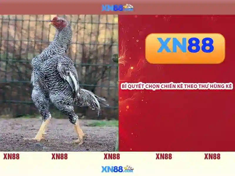 💎w88 link vài nhà cái💎