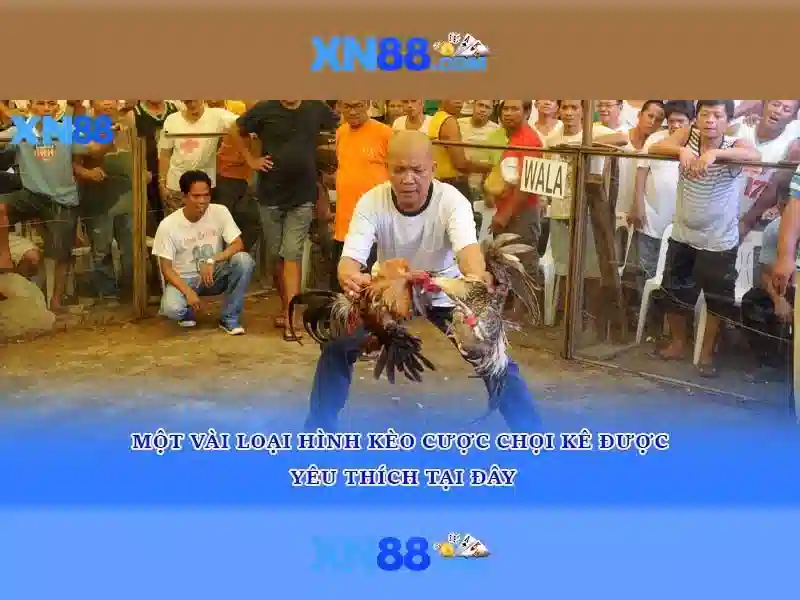 💎bóng đá tỷ lệ cá cược💎