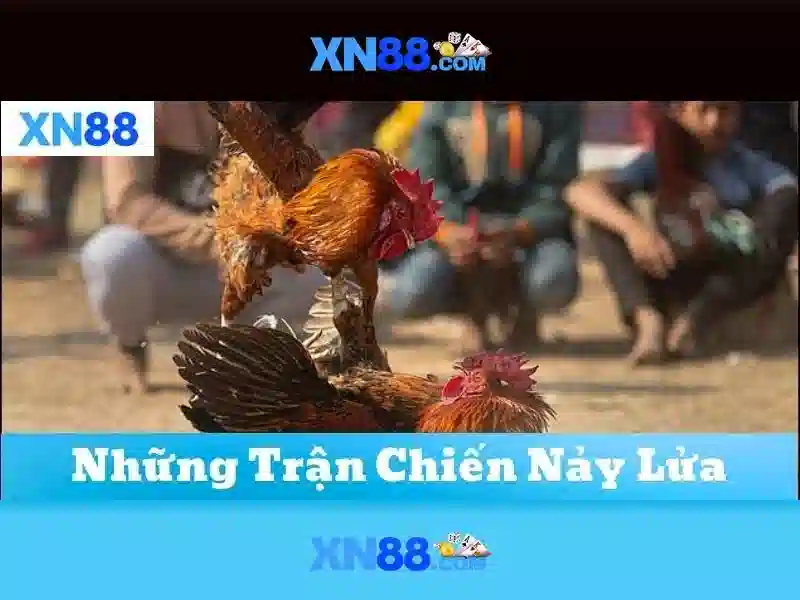 💎khuyến mãi hb88💎 - đánh bài hb88 - hb88 vn net 58