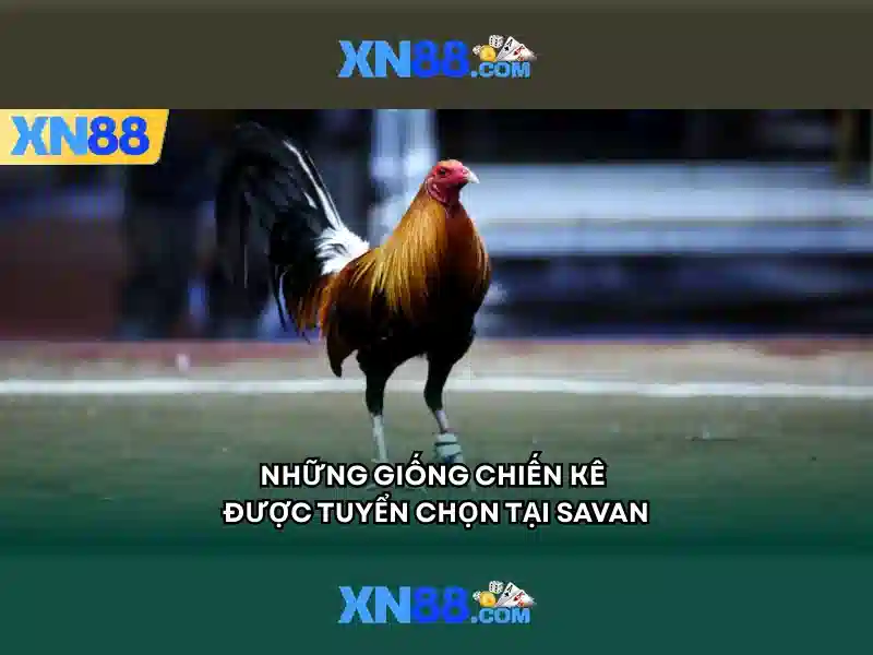💎xây dựng sửa chữa cải tạo nhà💎