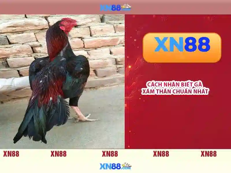 💎keo nha cai tay ban nha vs thuy si💎