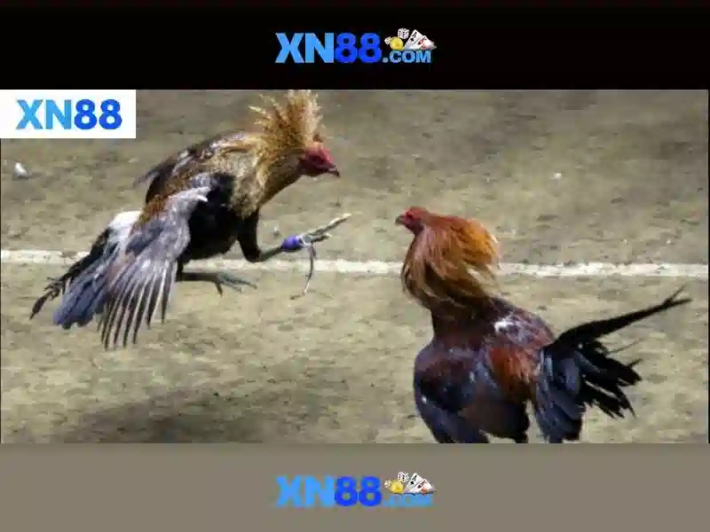 💎888 slot slots app💎