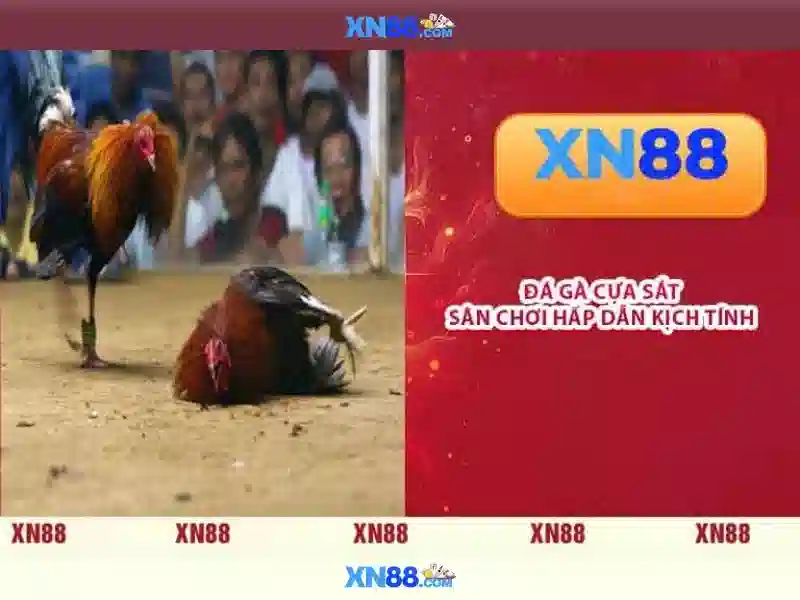 khuyến mãi Slot - XN88