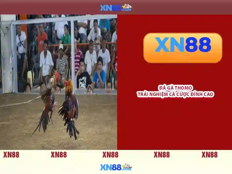 💎vip xn88 login💎