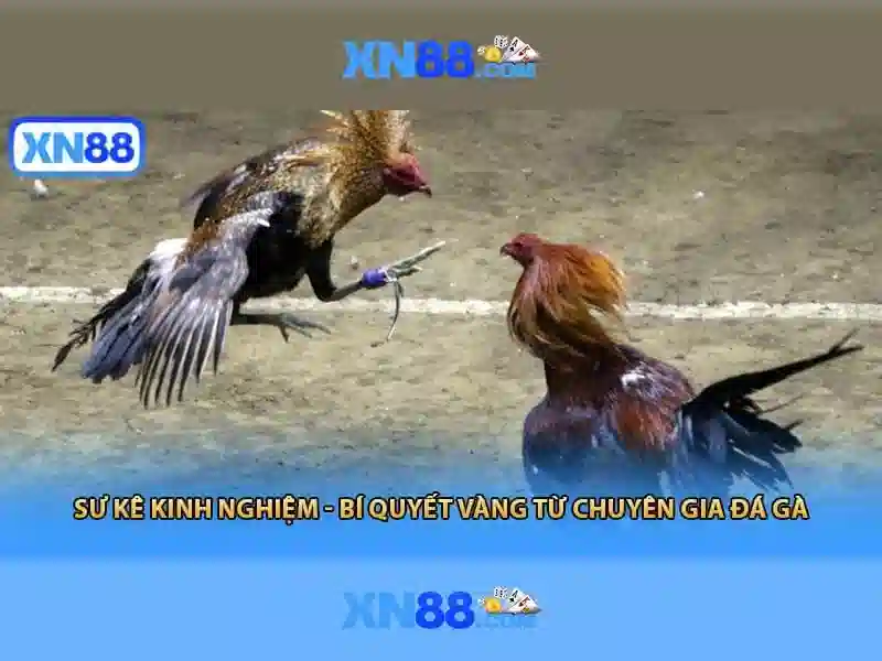 💎podcasters spotify podcasters spotify hb88💎