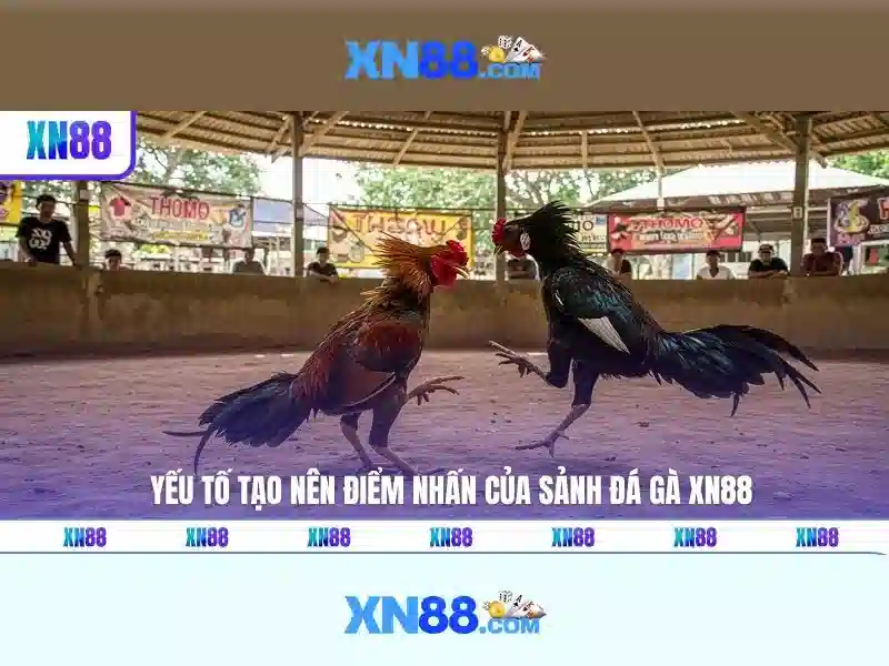 💎keo nha cai bo dao nha💎