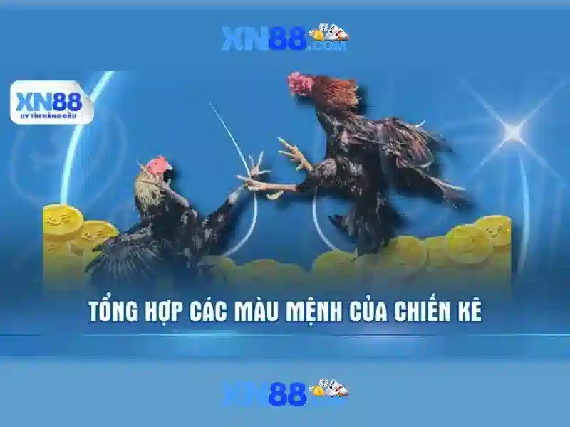 💎ca nhac cat bui cuoc doi💎