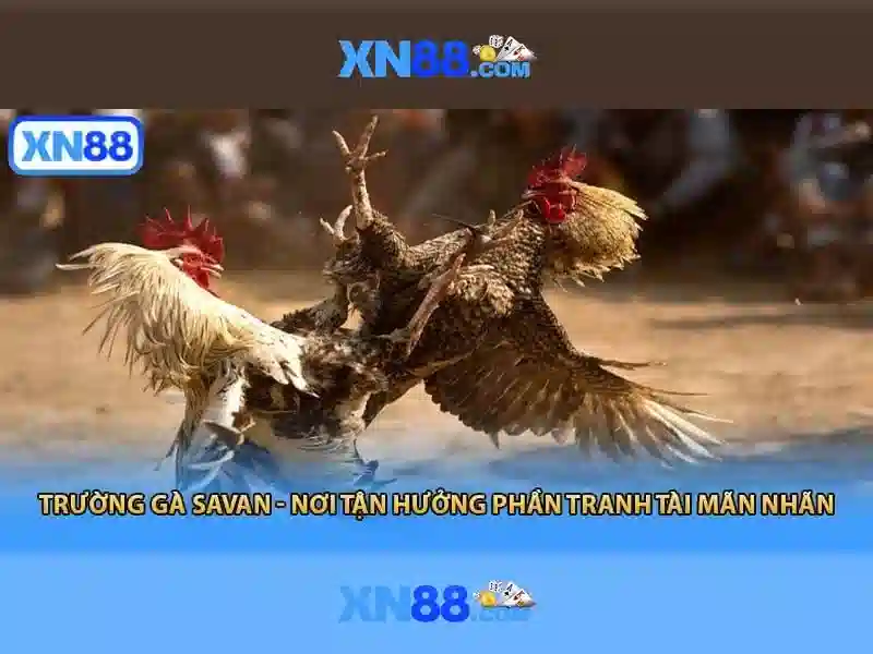 💎hệ thống sông chính của sông ngòi bắc bộ💎