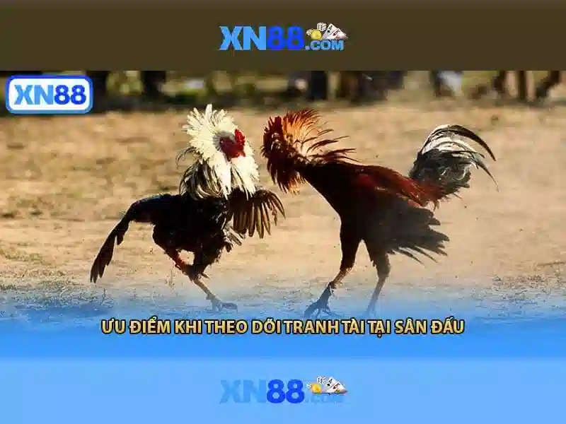 💎888slot slot player career💎