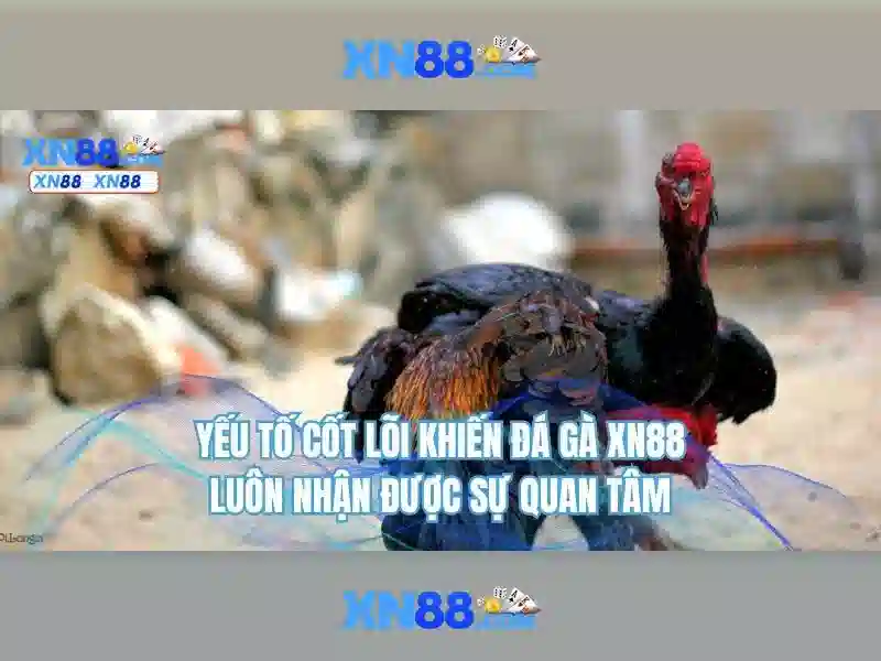 💎nhà cái ezbet💎