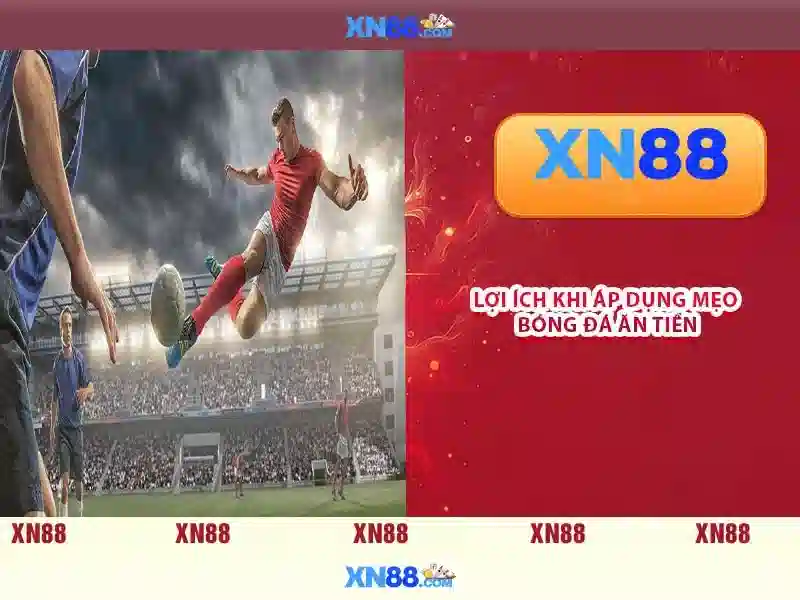 💎tỉ lệ cá cuọc💎