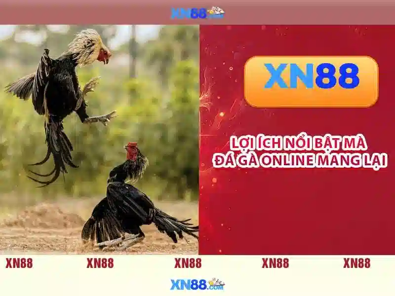 💎top11 nhà cái uy tín💎