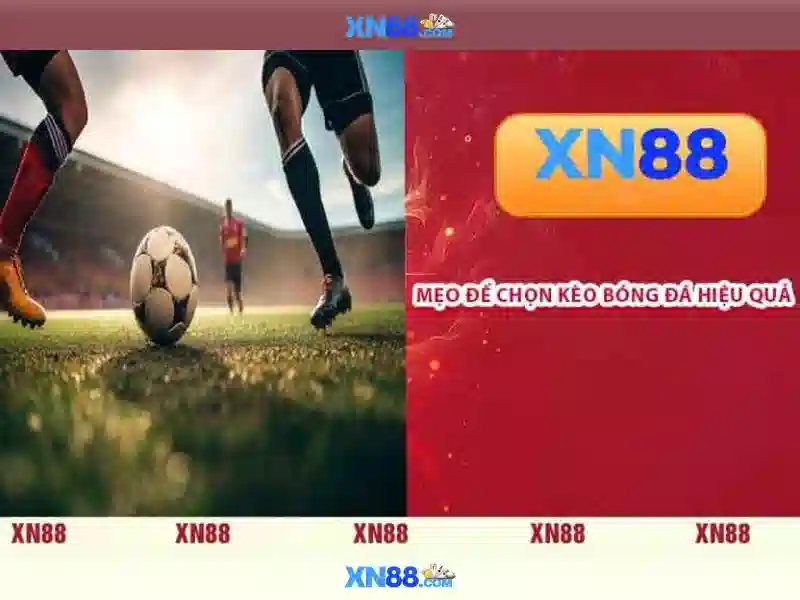 💎lũ băng của sông ngòi bắc á vào💎