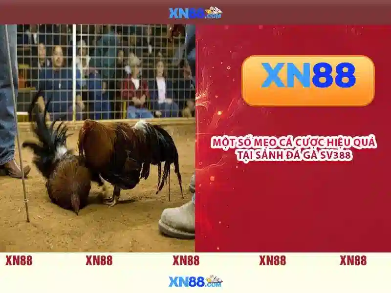 💎hb88 bank exchange rate💎