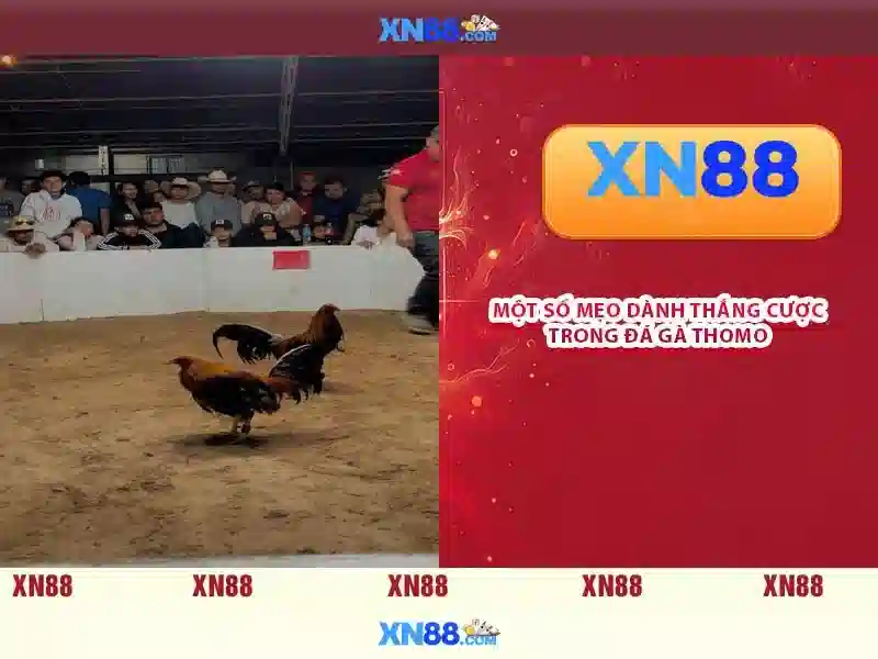 💎ten hag vs 888slot slot head to head💎