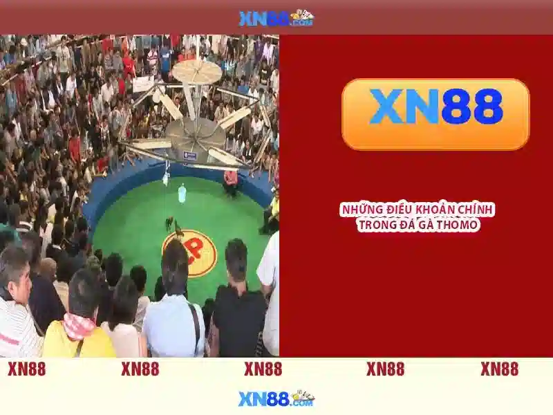 💎kèo+nhà+cái+euro💎