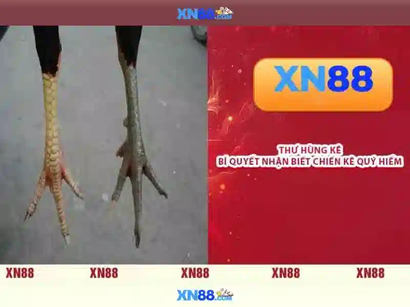 💎bellagio online slots💎