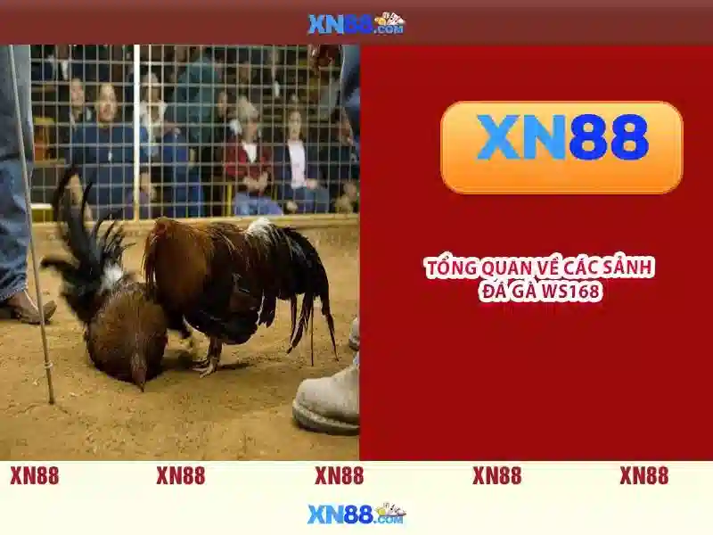 💎book of ra deluxe slot💎