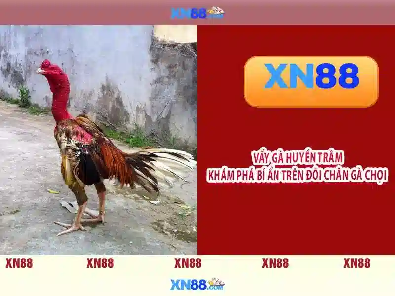 💎cài win tận nhà💎