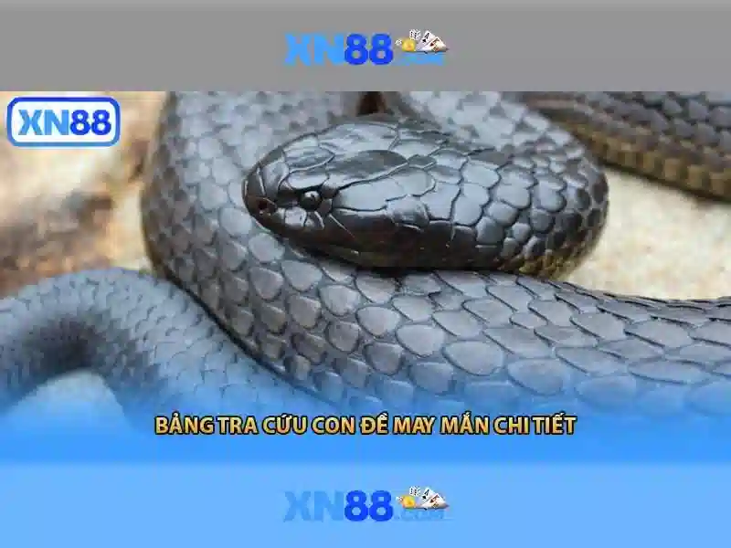 💎cải tạo nhà đà nẵng💎