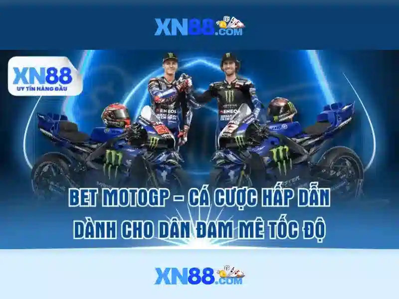 💎các trang web cá cược bóng đá💎