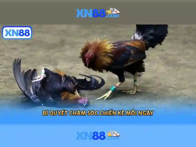 💎minecraft extra slots mod💎