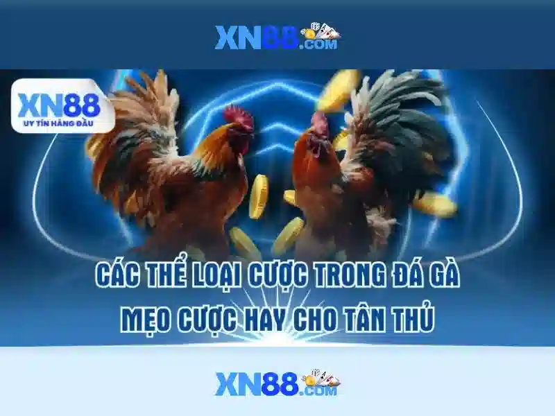 💎nhà cái cá cược w88💎
