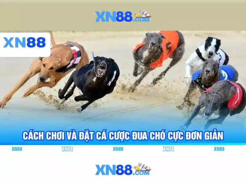 XN88 Có Uy Tín Không? Sân Chơi Slot Đa Dạng Hiện Đại 2026 - XN88