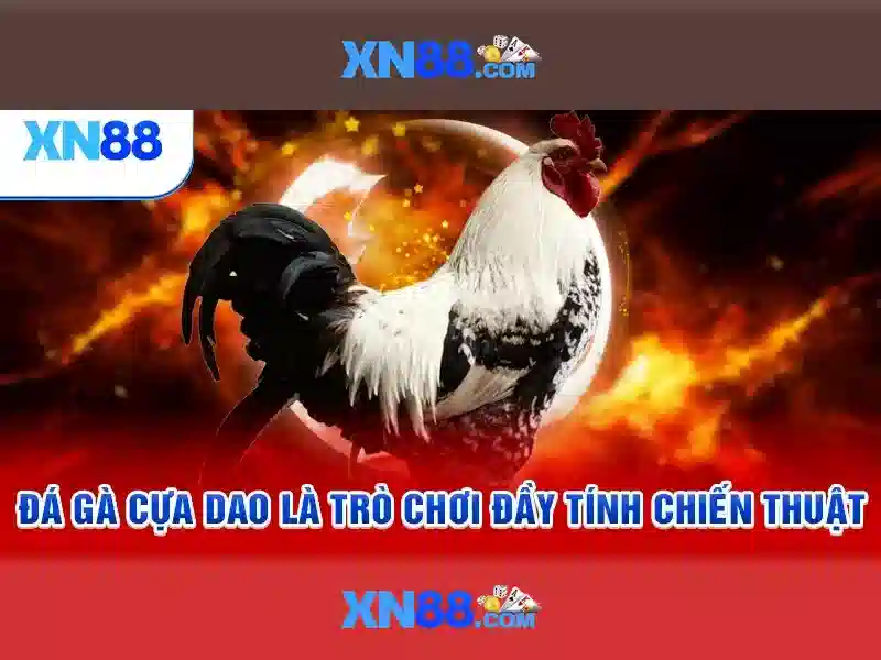 💎nha cái uy tín nhất hiện nay💎