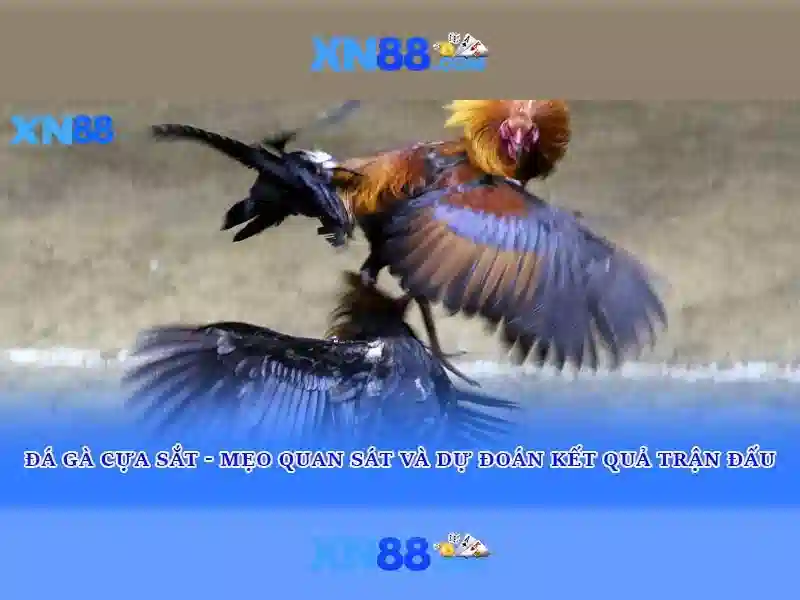 💎volatilität slots💎