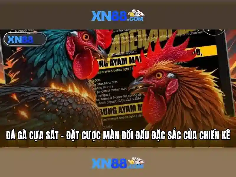 💎cá cược số đề💎