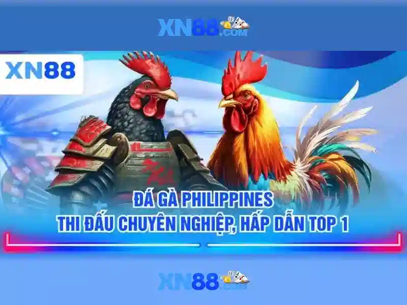 💎game xn88 game xn88💎