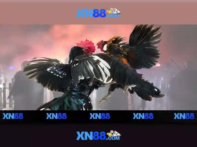 💎hướng dẫn đánh lô đề miền bắc💎