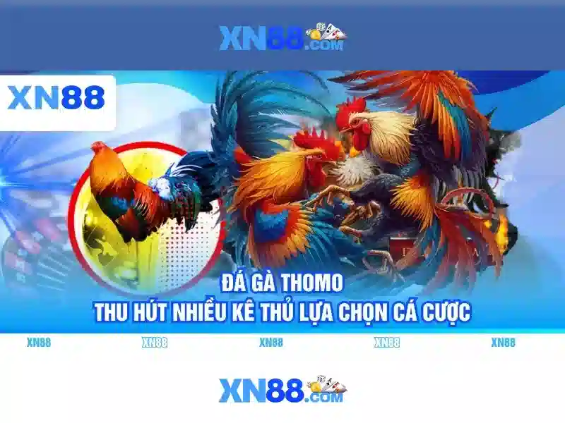💎nguyên tắc thứ bậc của tổ chức sống💎