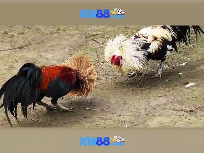 💎nhà cái uy tính taixiuonline💎