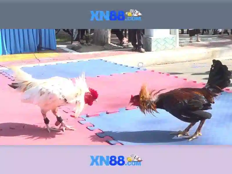 💎momo 128 slot💎