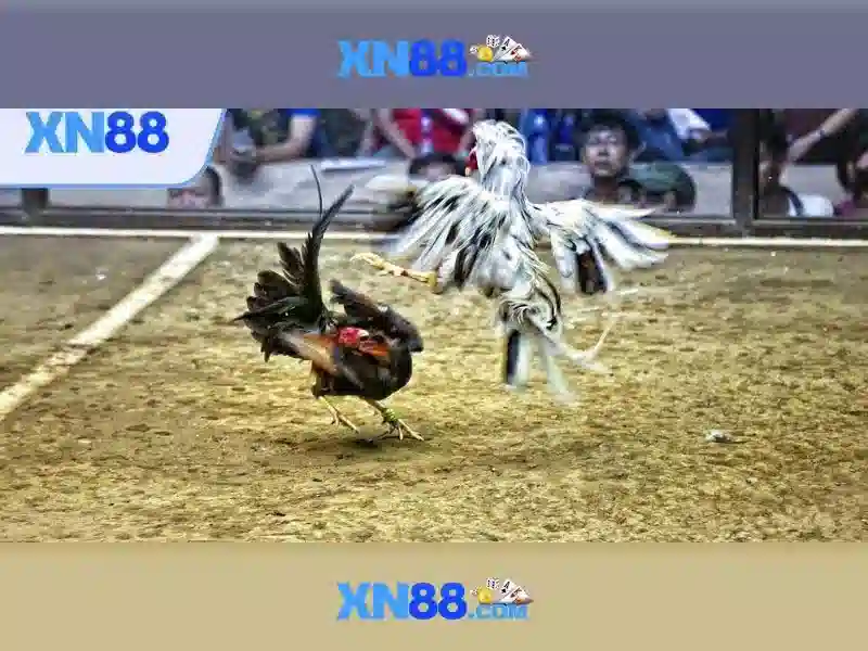 💎kronborg slot💎