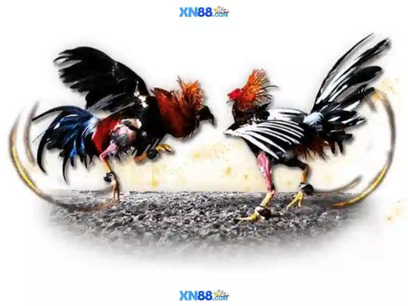 💎888 slot slot system💎