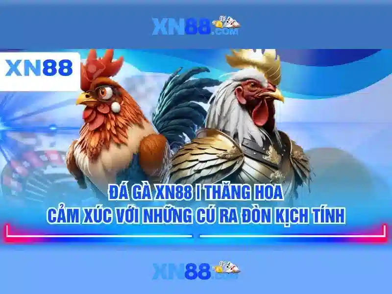 💎nhà cai uy tin vip💎