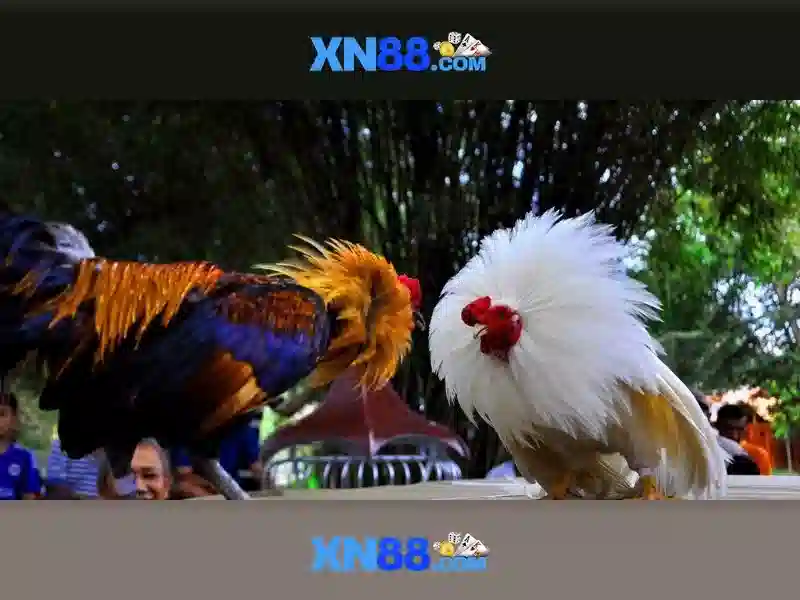 💎888slot game free💎